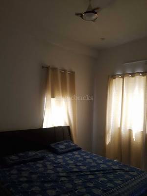 Jaipur Delta PG C-Scheme - Common area