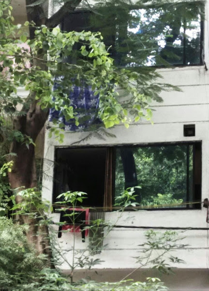 Xpert PG - Co-ed hostel in Delhi