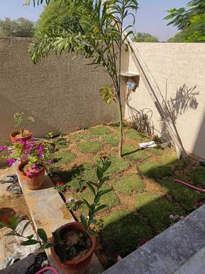 Shakuntalam Deluxe PG Near Mahindra Sez - Study area